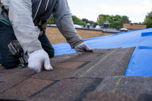 Best Roof Insulation Installation  in Gladwin, MI
