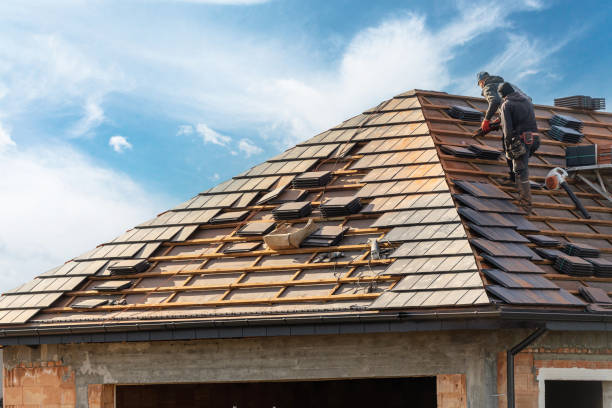 Best Asphalt Shingle Roofing  in Gladwin, MI